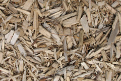 biomass boilers Eynort