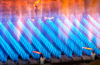 Eynort gas fired boilers